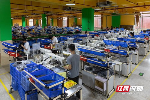 常德桃源縣 全員招商發力 助推產業高質量發展